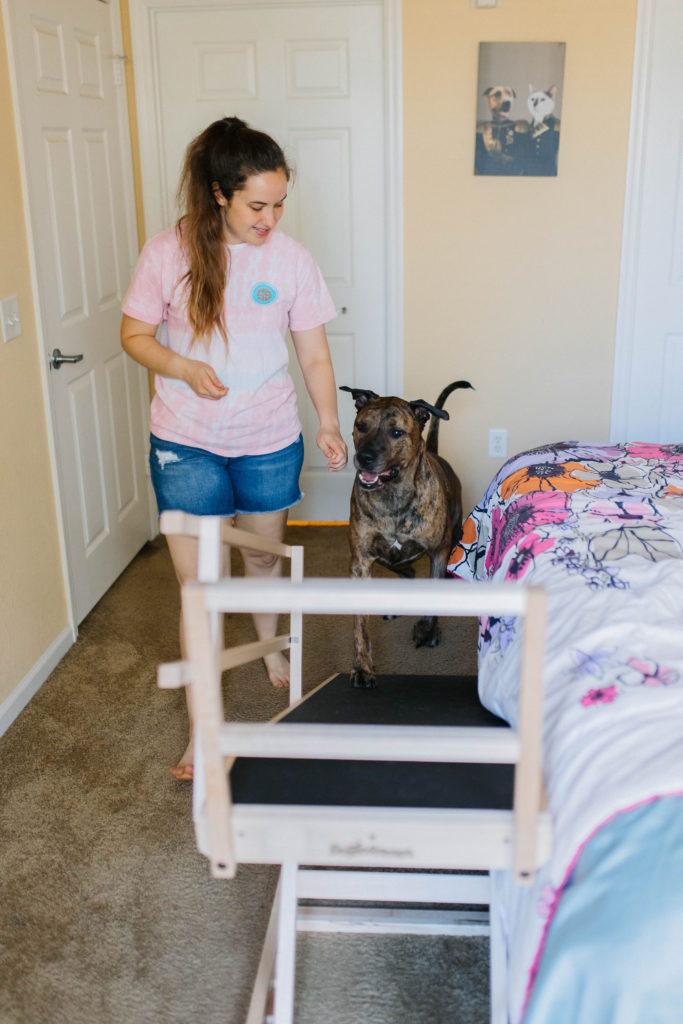 Dog joint aid doggo ramps large indoor dog bed ramp sparkles and sunshine blog