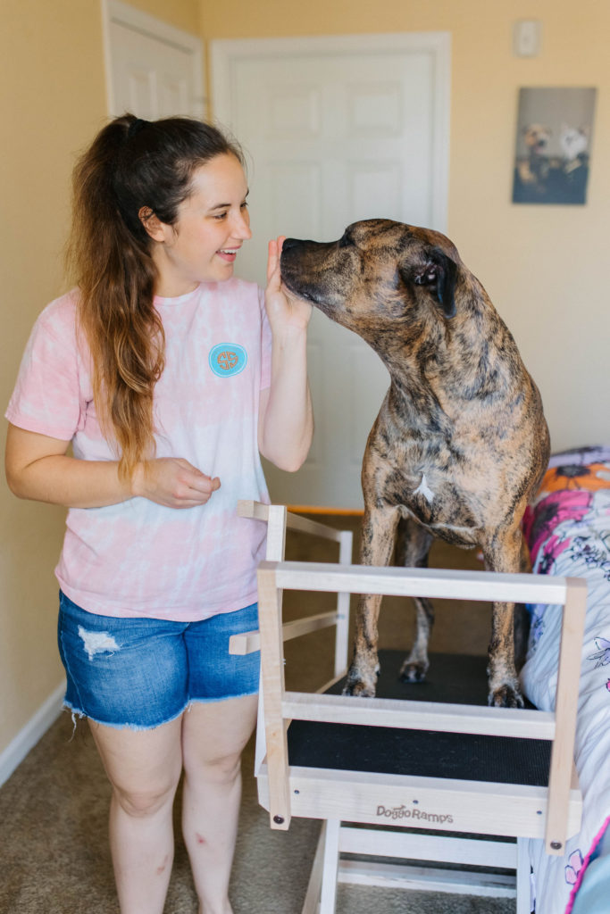 Dog joint aid doggo ramps large indoor dog bed ramp sparkles and sunshine blog
