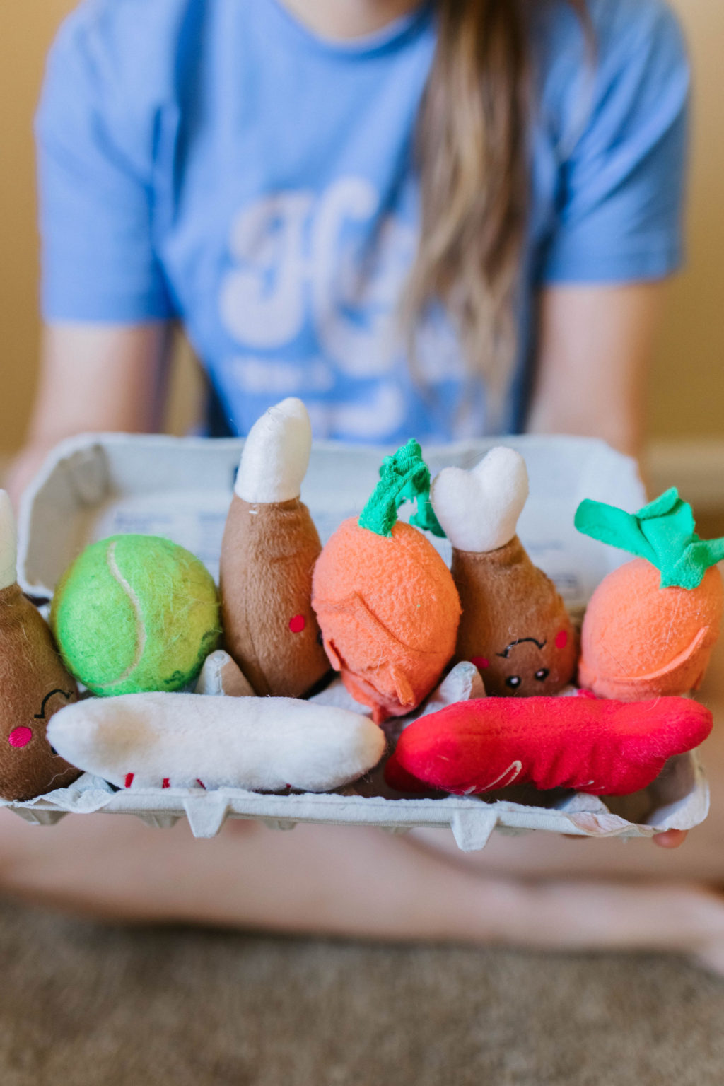 4 DIY enrichment Activities For Dogs Using Egg Cartons