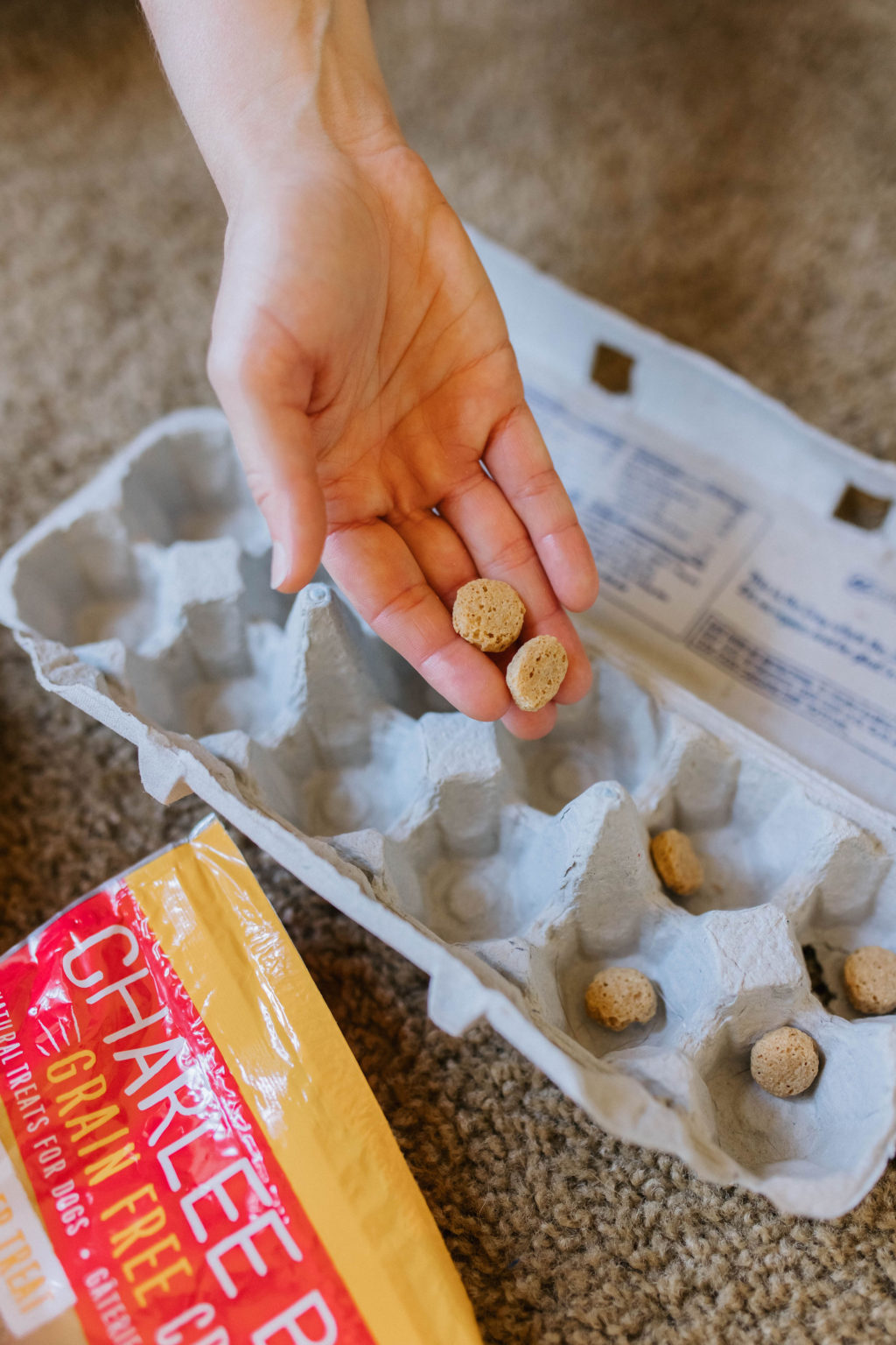 4 DIY enrichment Activities For Dogs Using Egg Cartons