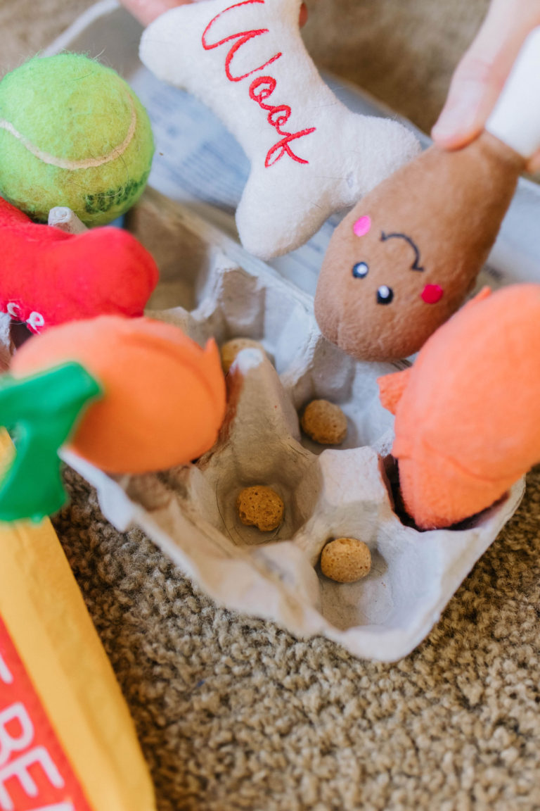 4 DIY enrichment Activities For Dogs Using Egg Cartons