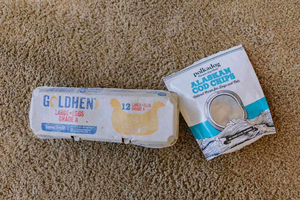 diy scenting games for dogs with egg carton and polka dog fish treats sparkles and sunshine blog