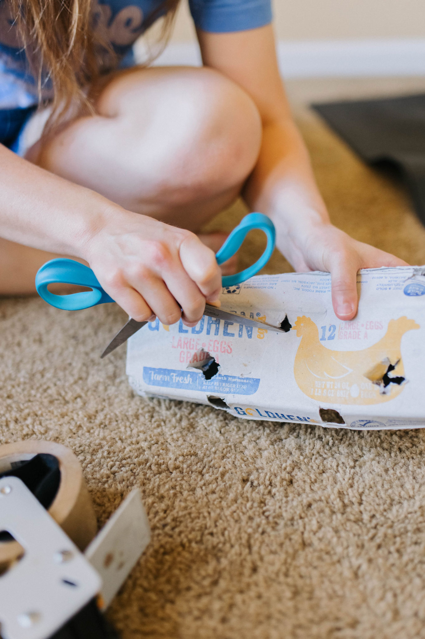 4 DIY enrichment Activities For Dogs Using Egg Cartons