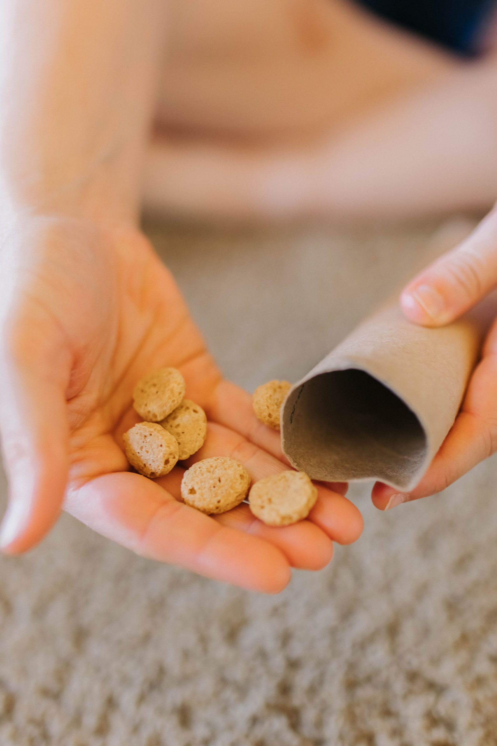 3 DIY Dog Treat Dispensers