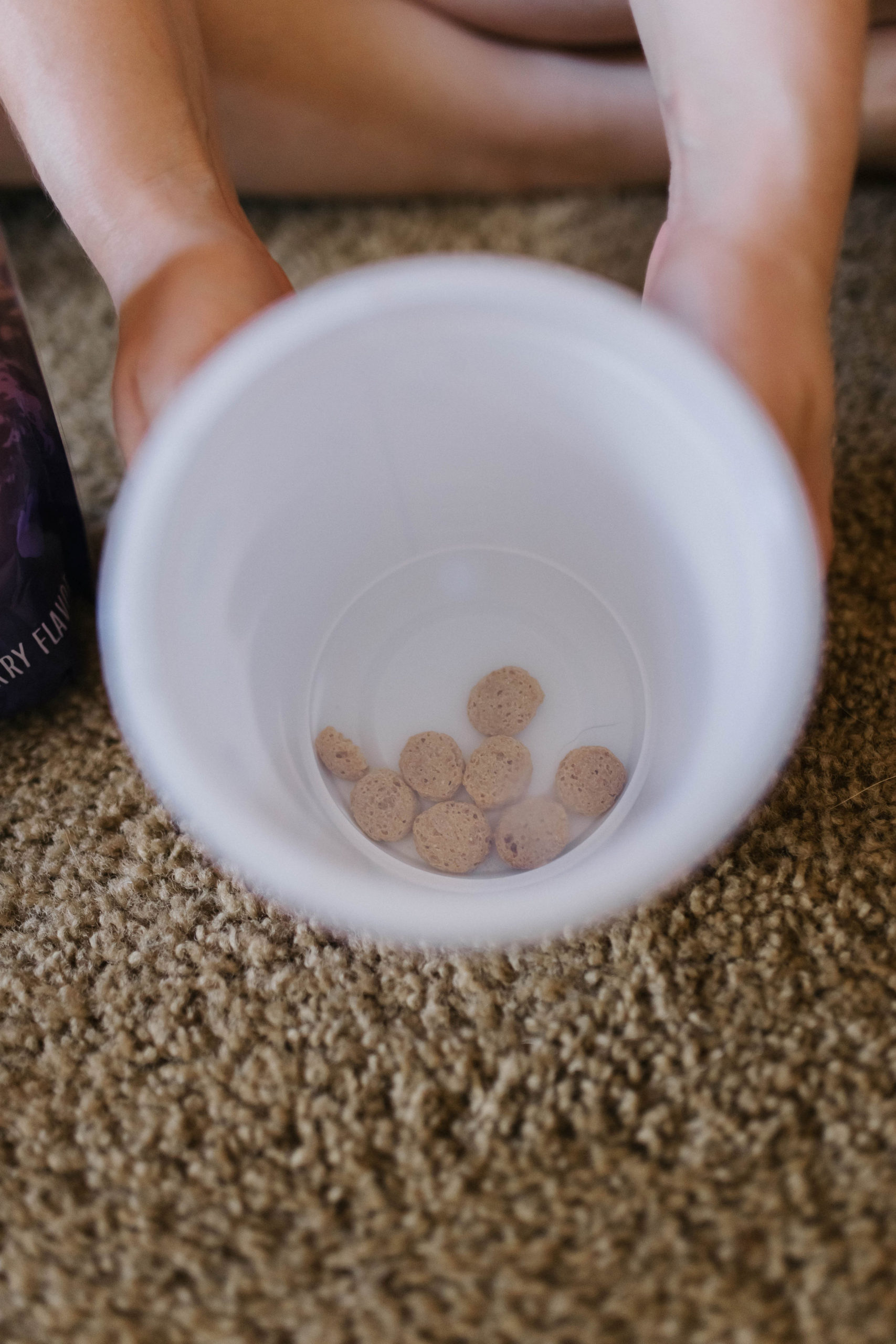 3 DIY Dog Treat Dispensers