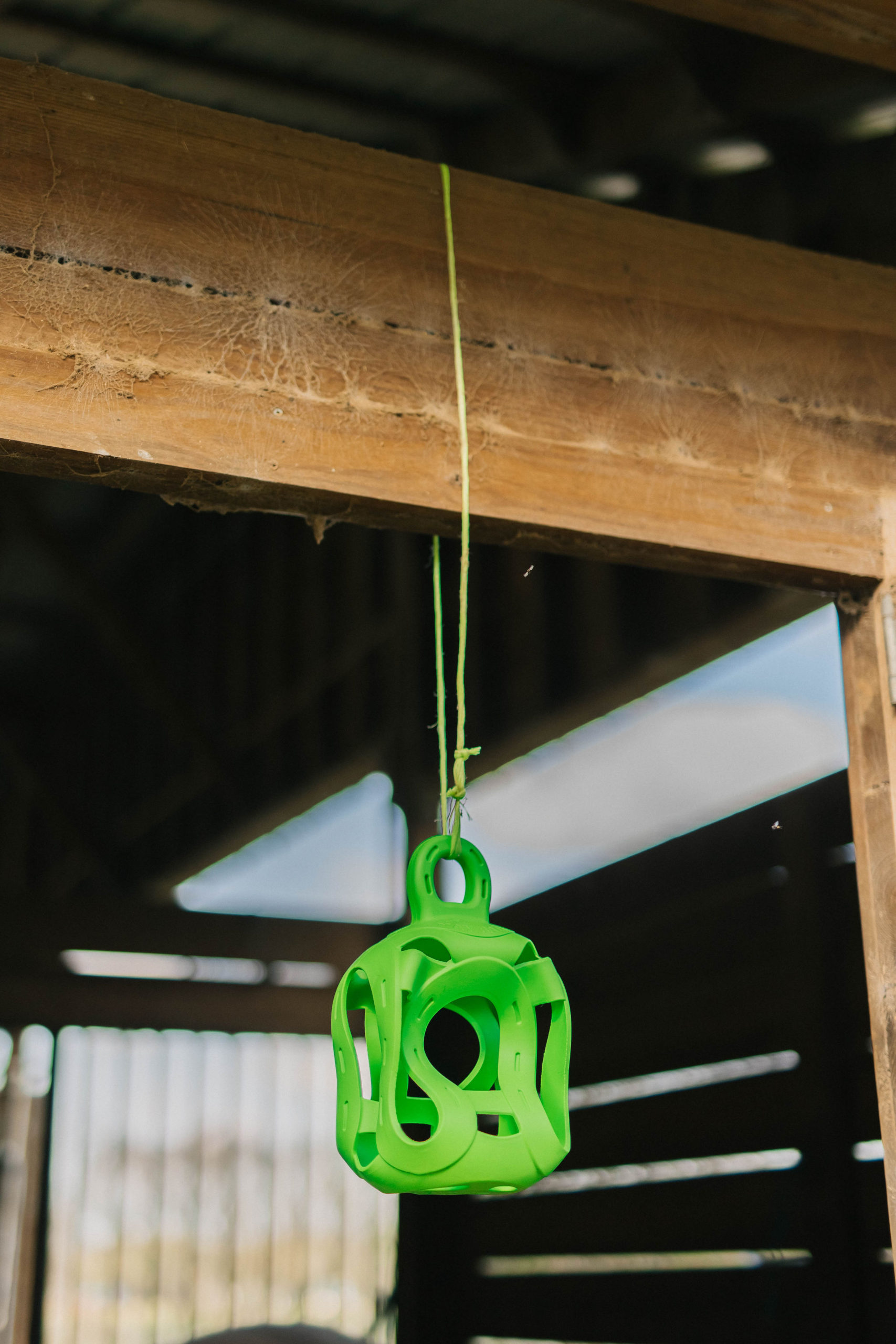 3 Horse Enrichment Toys From Horsemen’s Pride Sparkles and Sunshine Blog