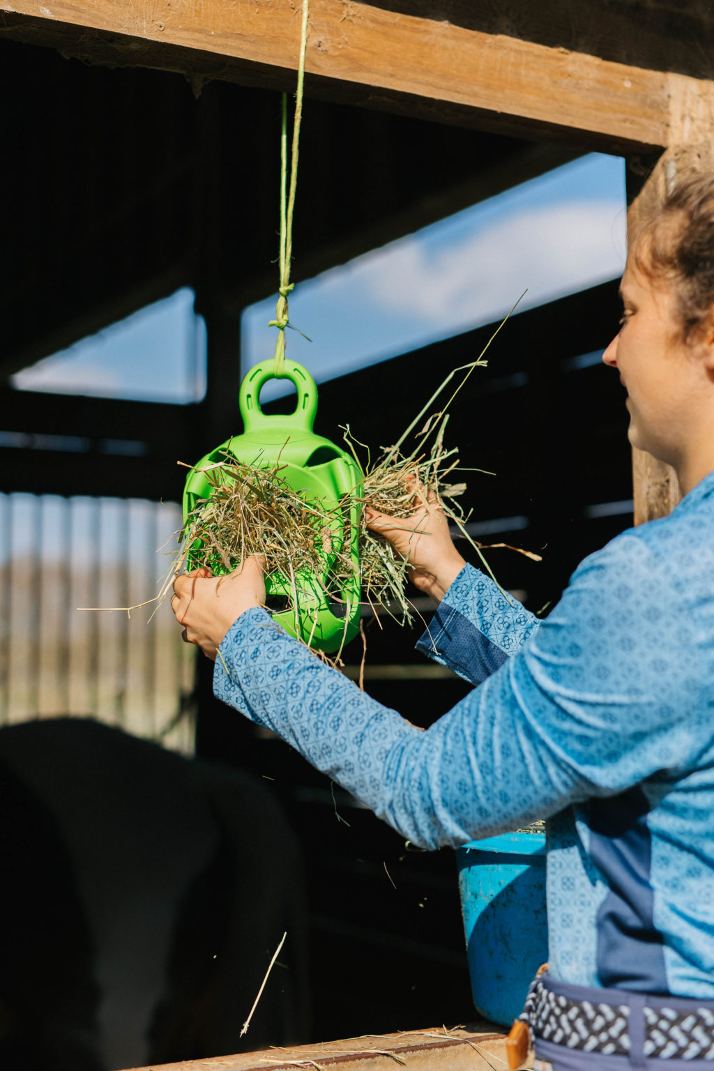 3 Horse Enrichment Toys From Horsemen’s Pride Sparkles and Sunshine Blog