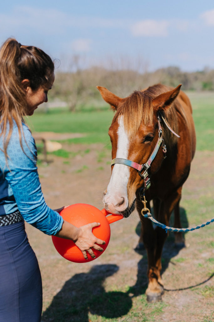 pasture toys for horses jolly ball horse sparkles and sunshine blog