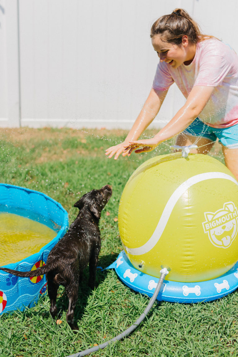 Summer Outdoor Dog Activities With BigMouth Pets