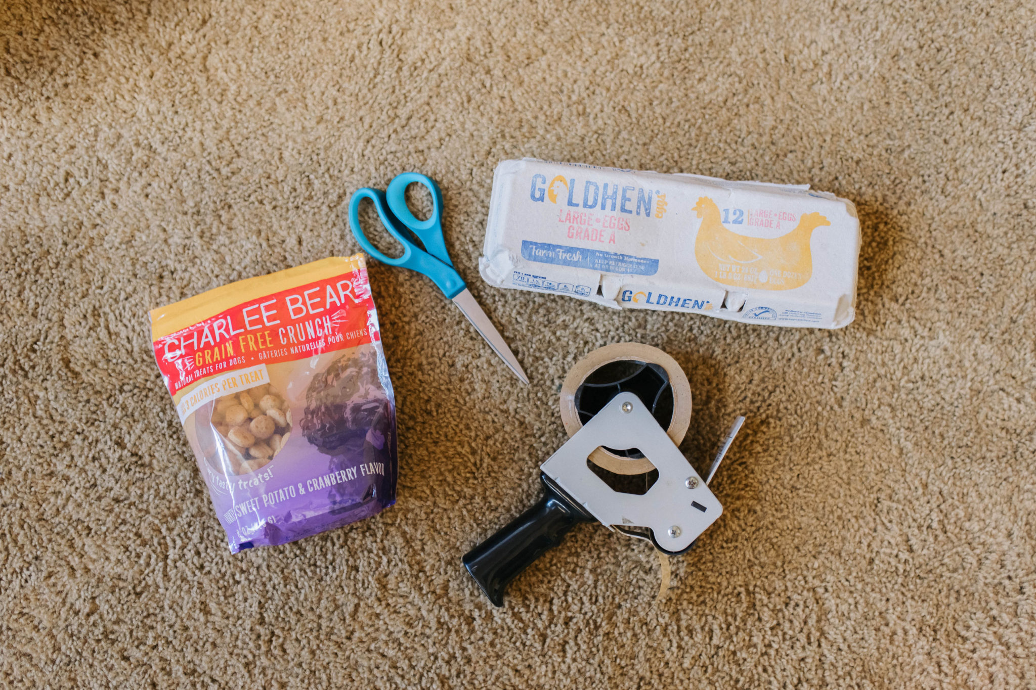 4 DIY enrichment Activities For Dogs Using Egg Cartons