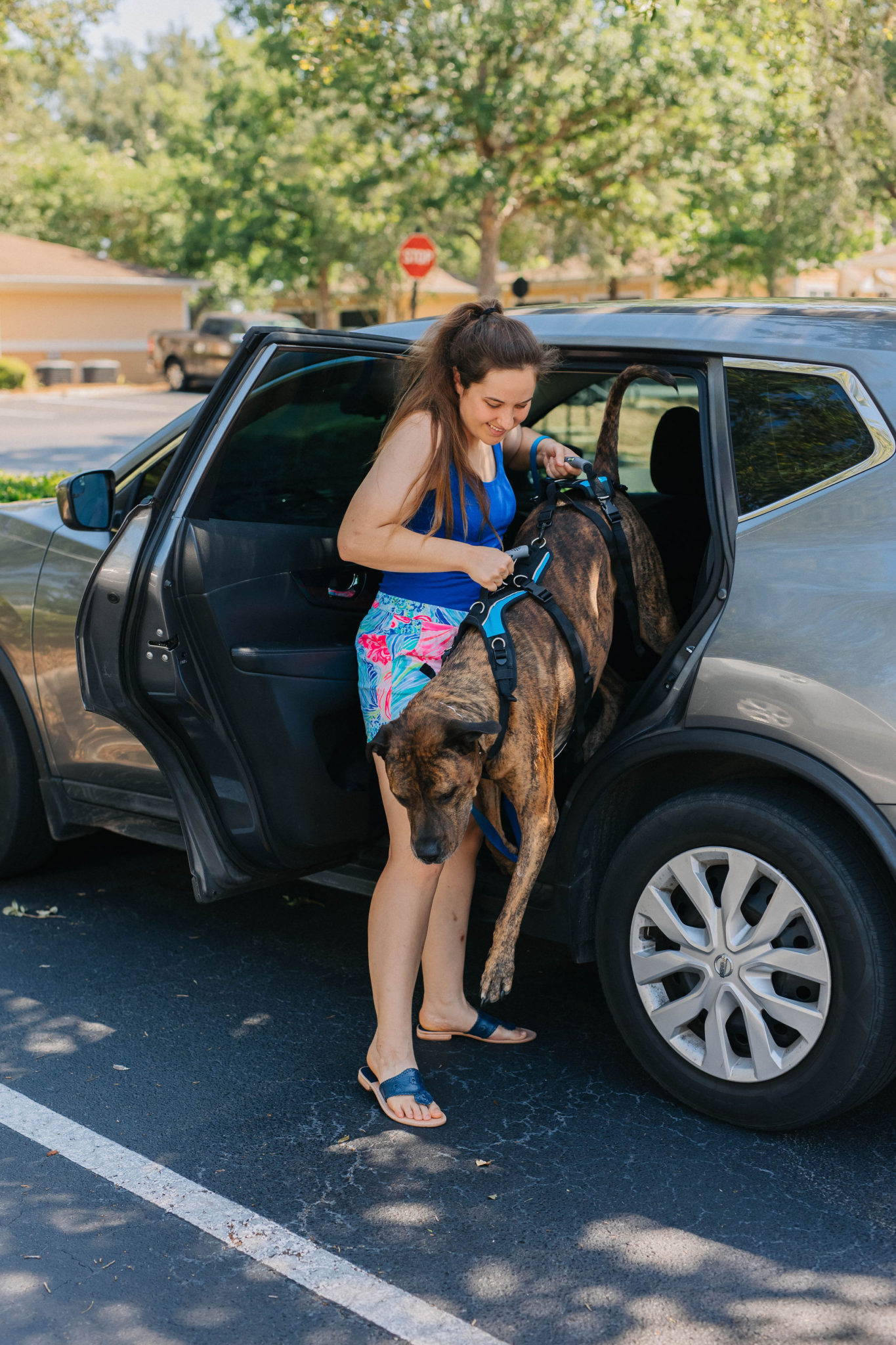 TPLO Surgery Dog Recovery Essential Help ‘Em Up Dog Harness