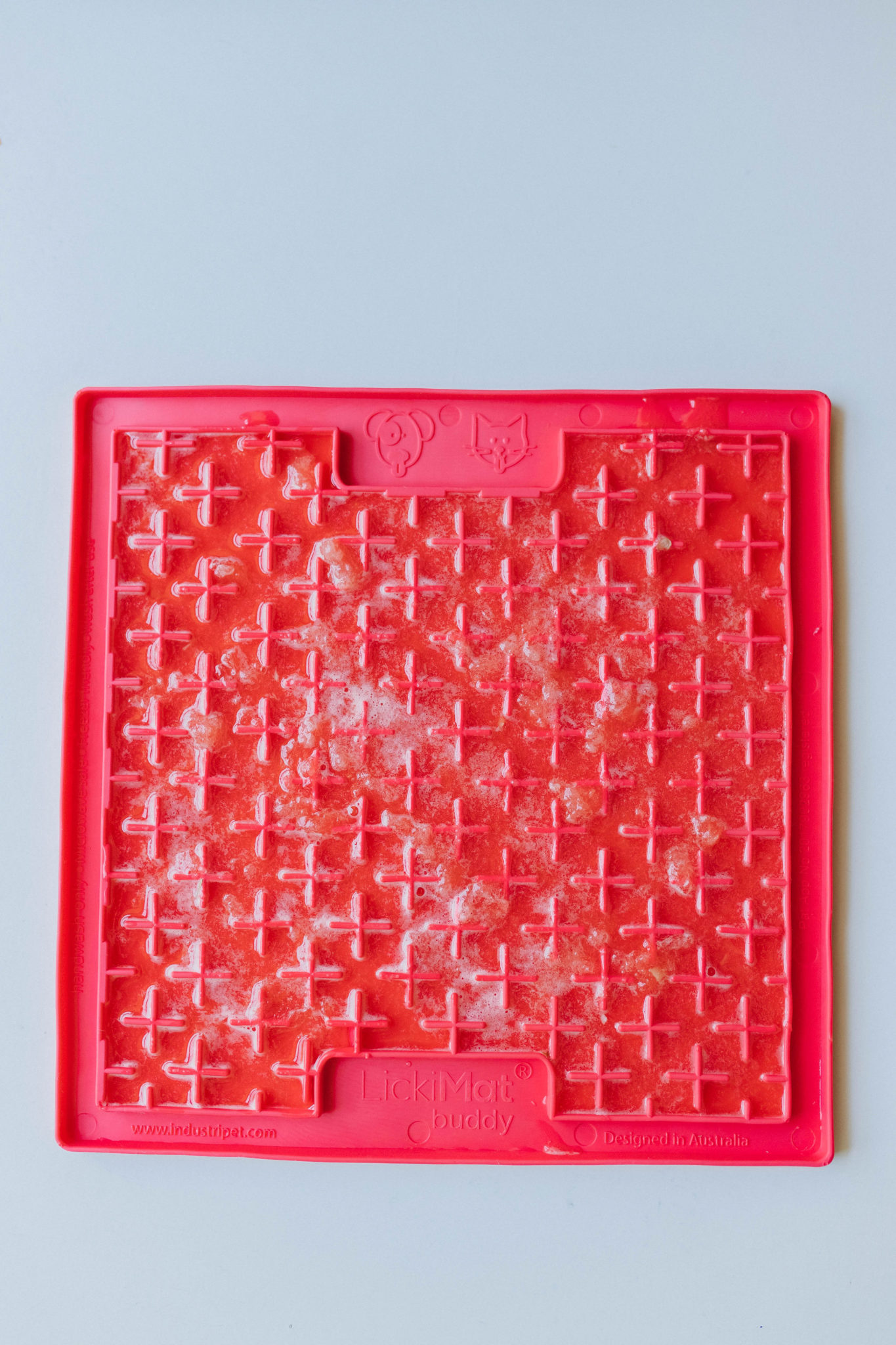 3 Easy Summer Frozen Dog Lick Mat Ideas