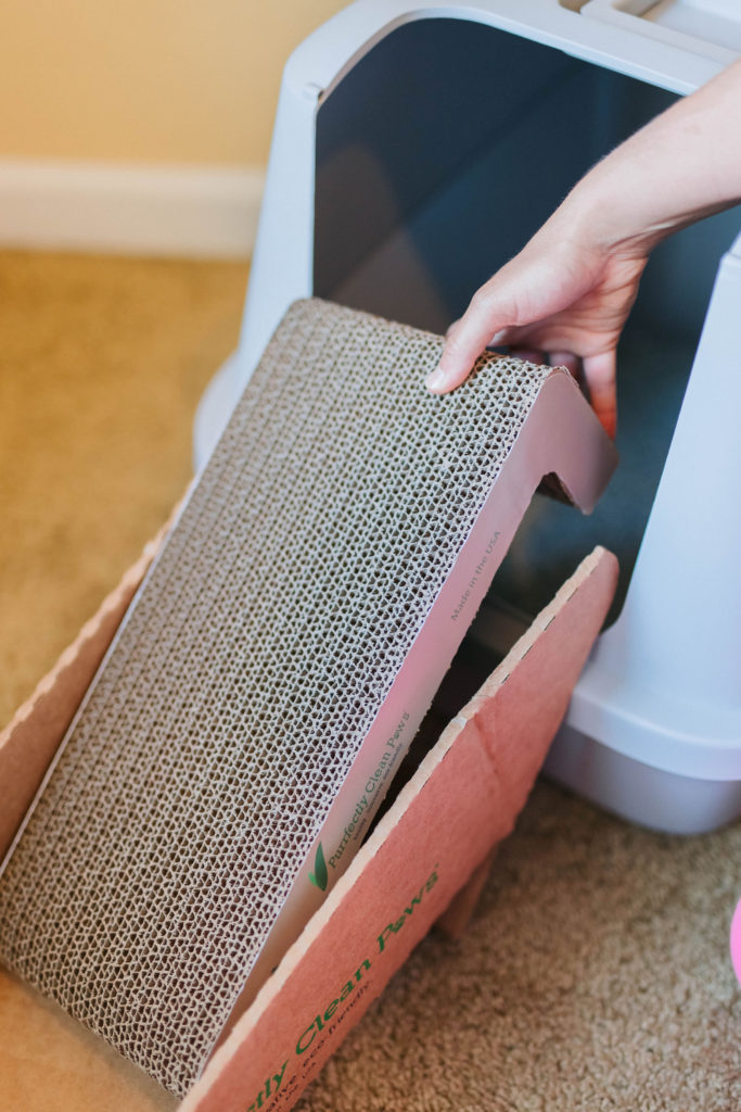 Simply paws design cat litter box ramp review sparkles and sunshine blog
