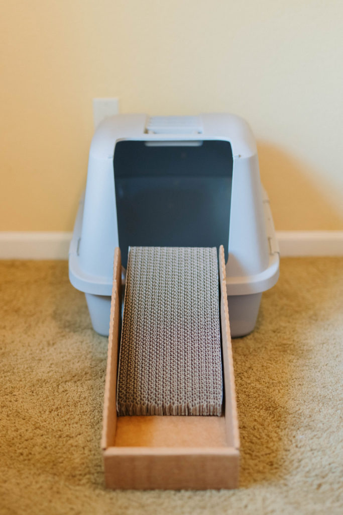 Simply paws design cat litter box ramp review sparkles and sunshine blog