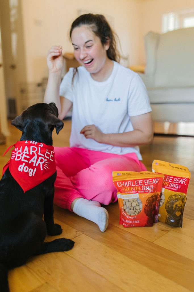 best time to train a puppy to sit charlee bear grain free dog treats sparkles and sunshine blog