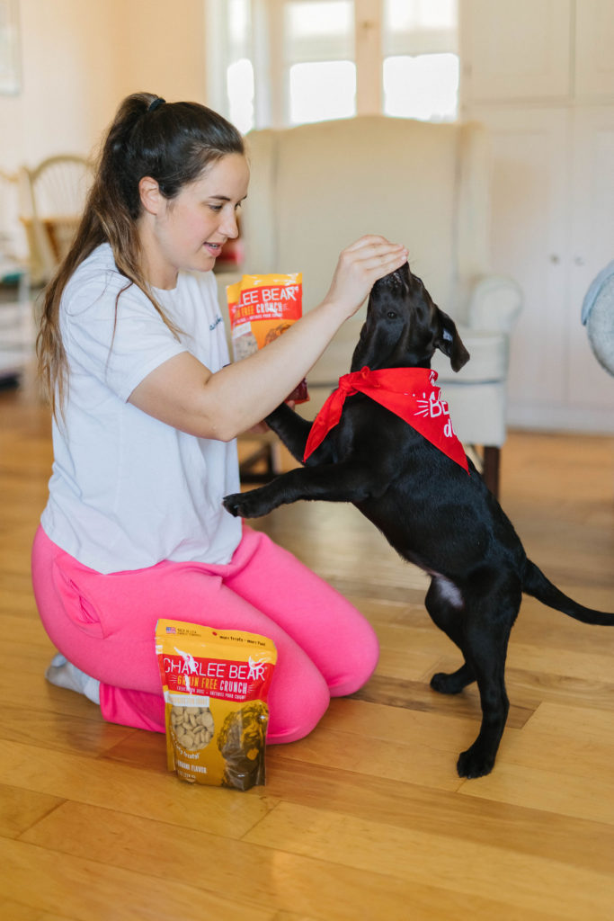 how to teach a puppy to sit charlee bear grain free dog treats sparkles and sunshine blog