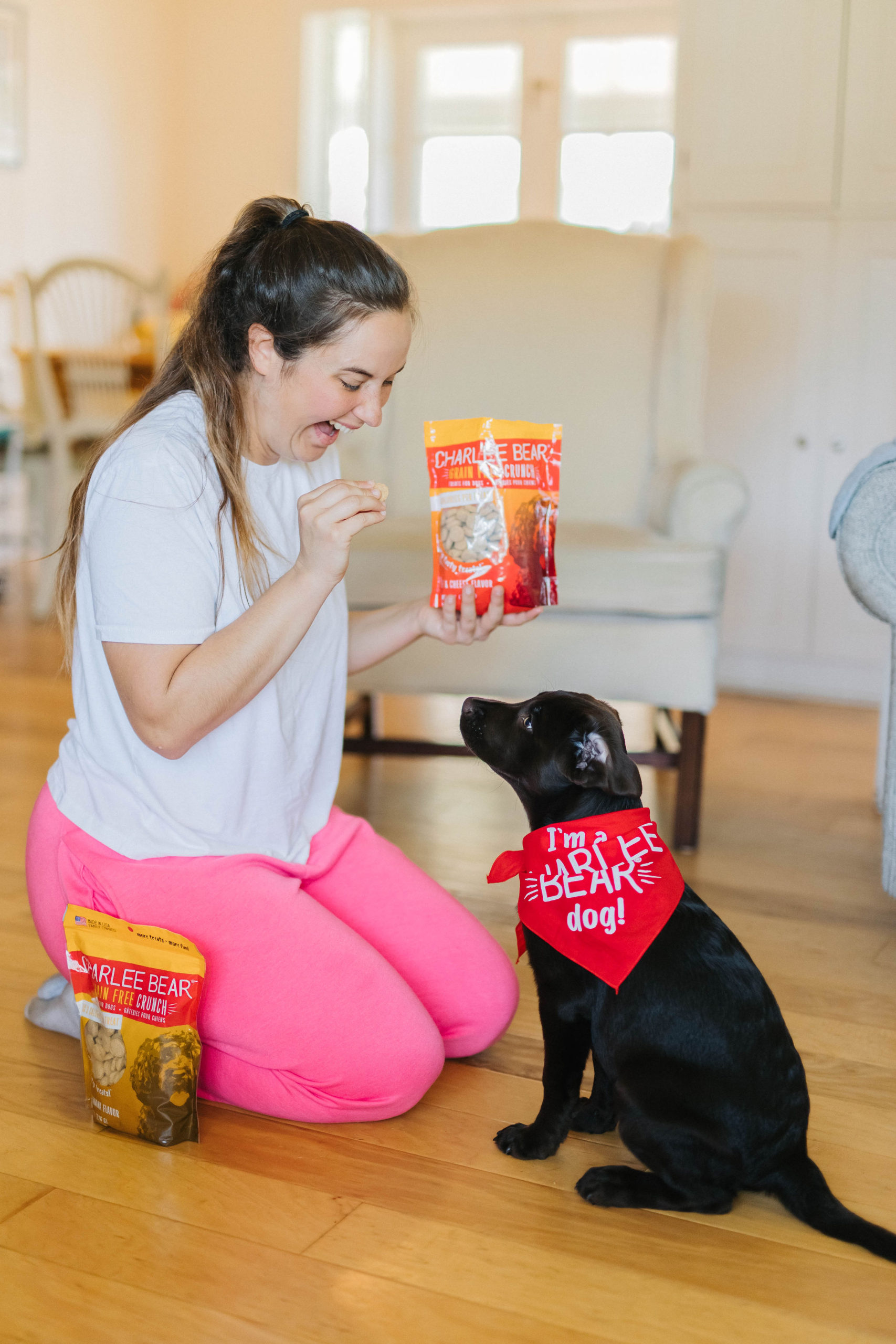 Puppy Training At Home 3 Things To Teach Your Puppy Sparkles and