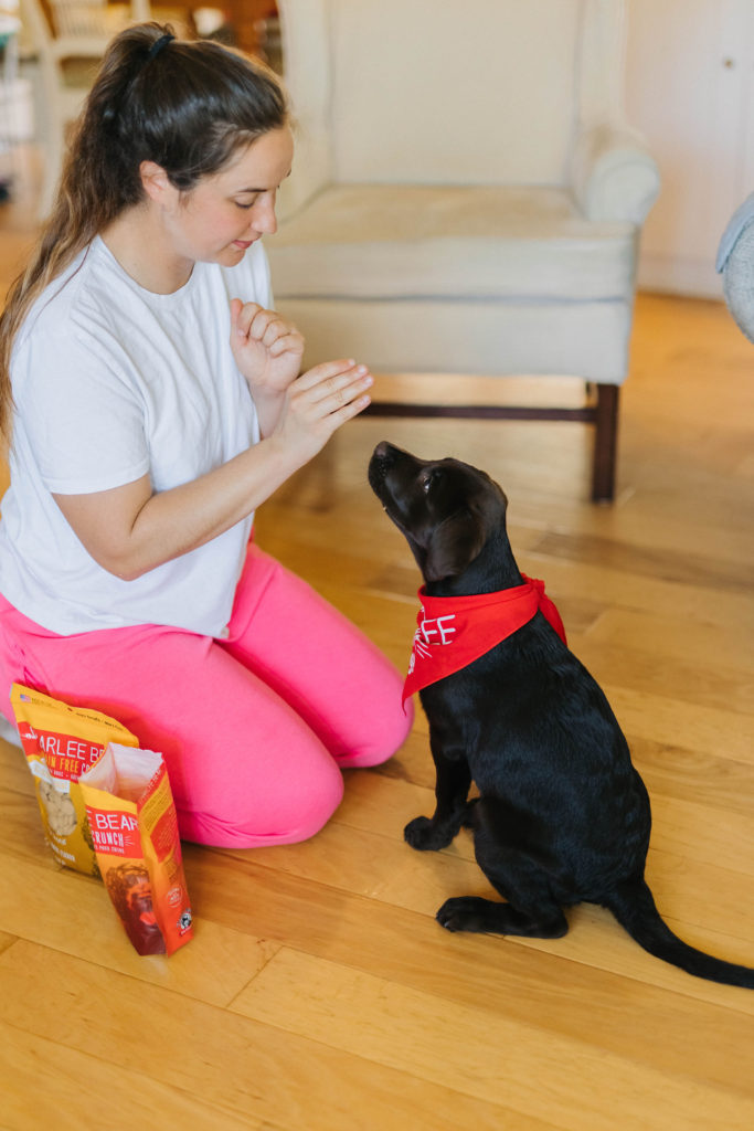 how to train puppy to give paw charlee bear grain free dog treats sparkles and sunshine blog