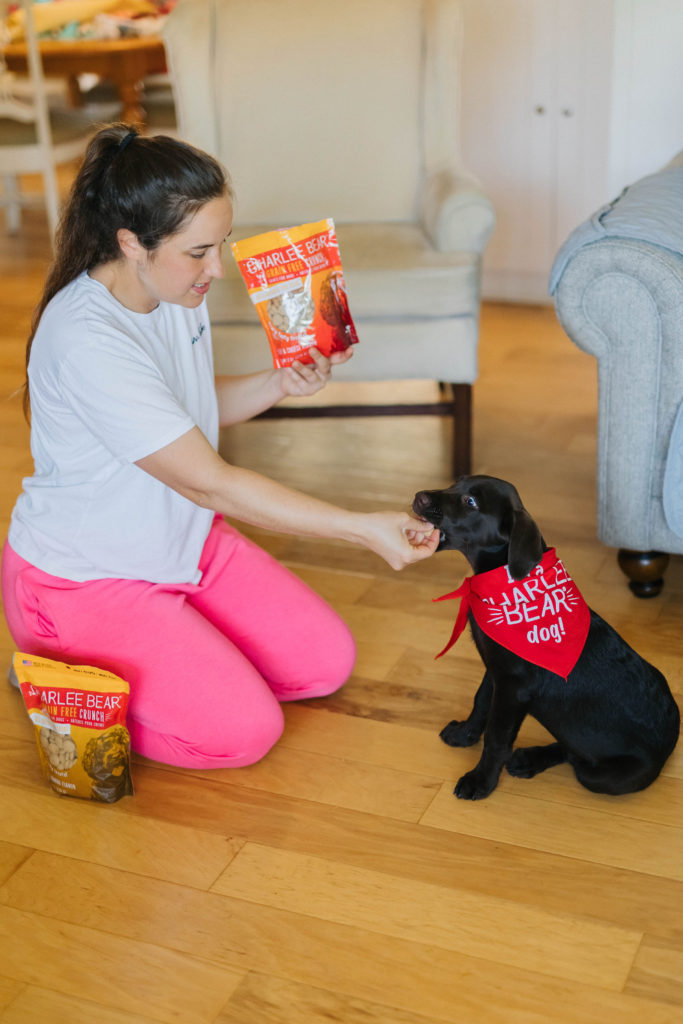 how to teach a puppy to lay down charlee bear grain free dog treats sparkles and sunshine blog