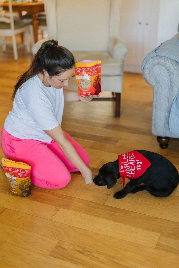 how to teach a puppy to lay down charlee bear grain free dog treats sparkles and sunshine blog