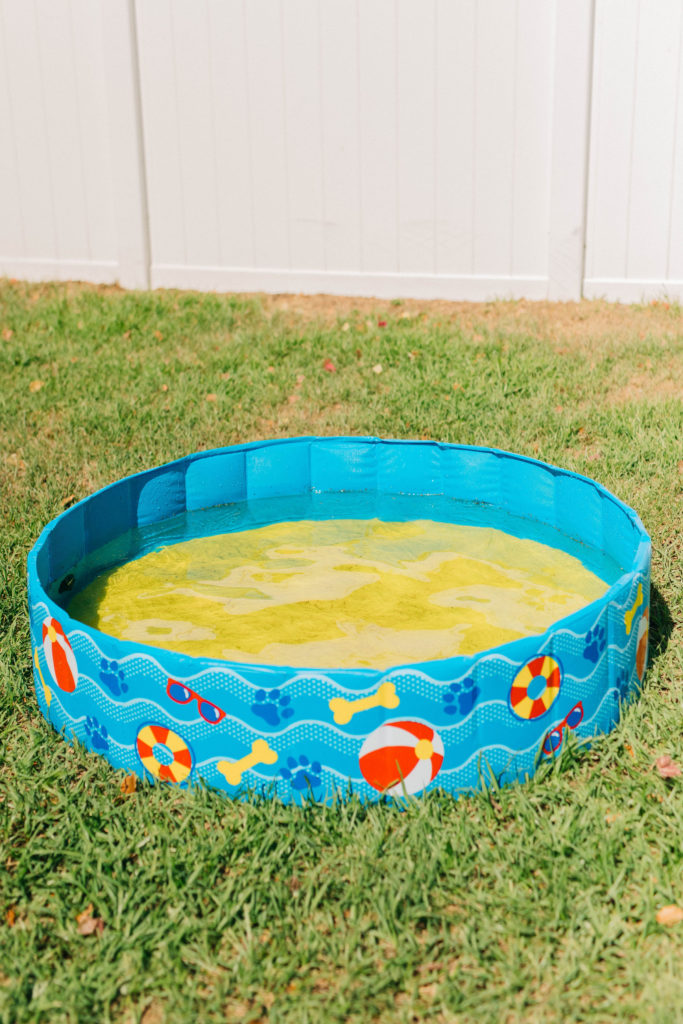 doggy swimming pool bigmouth pets sparkles and sunshine blog