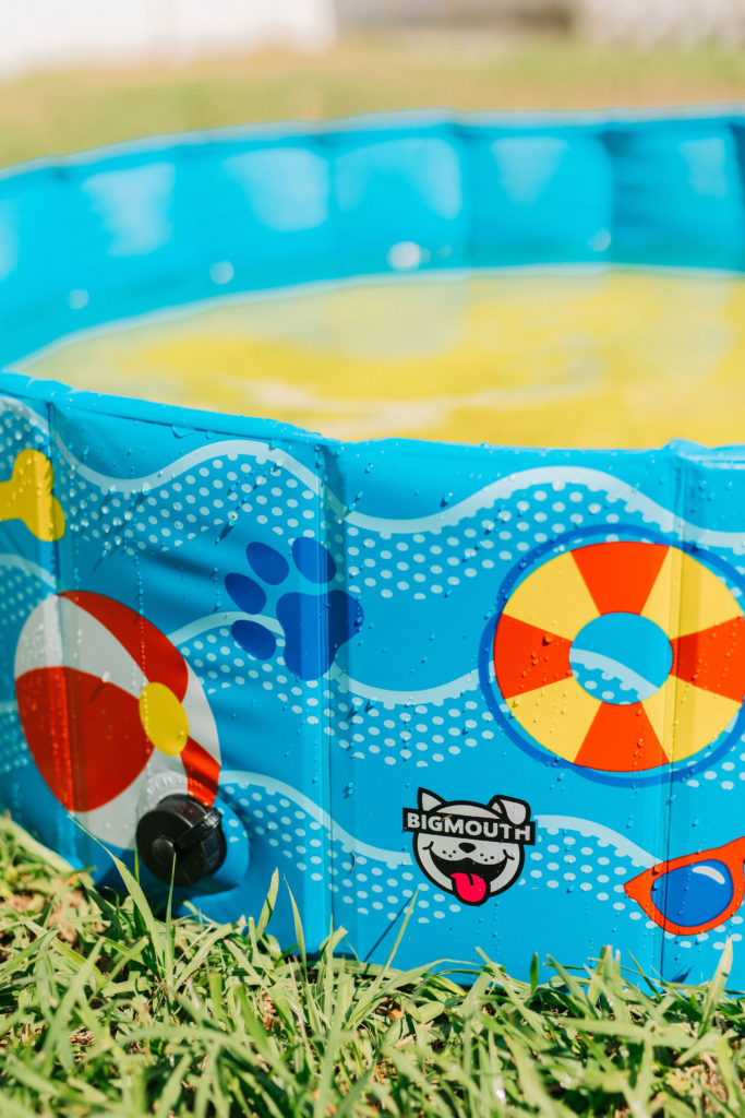big durable collapsible dog swim pool sparkles and sunshine blog