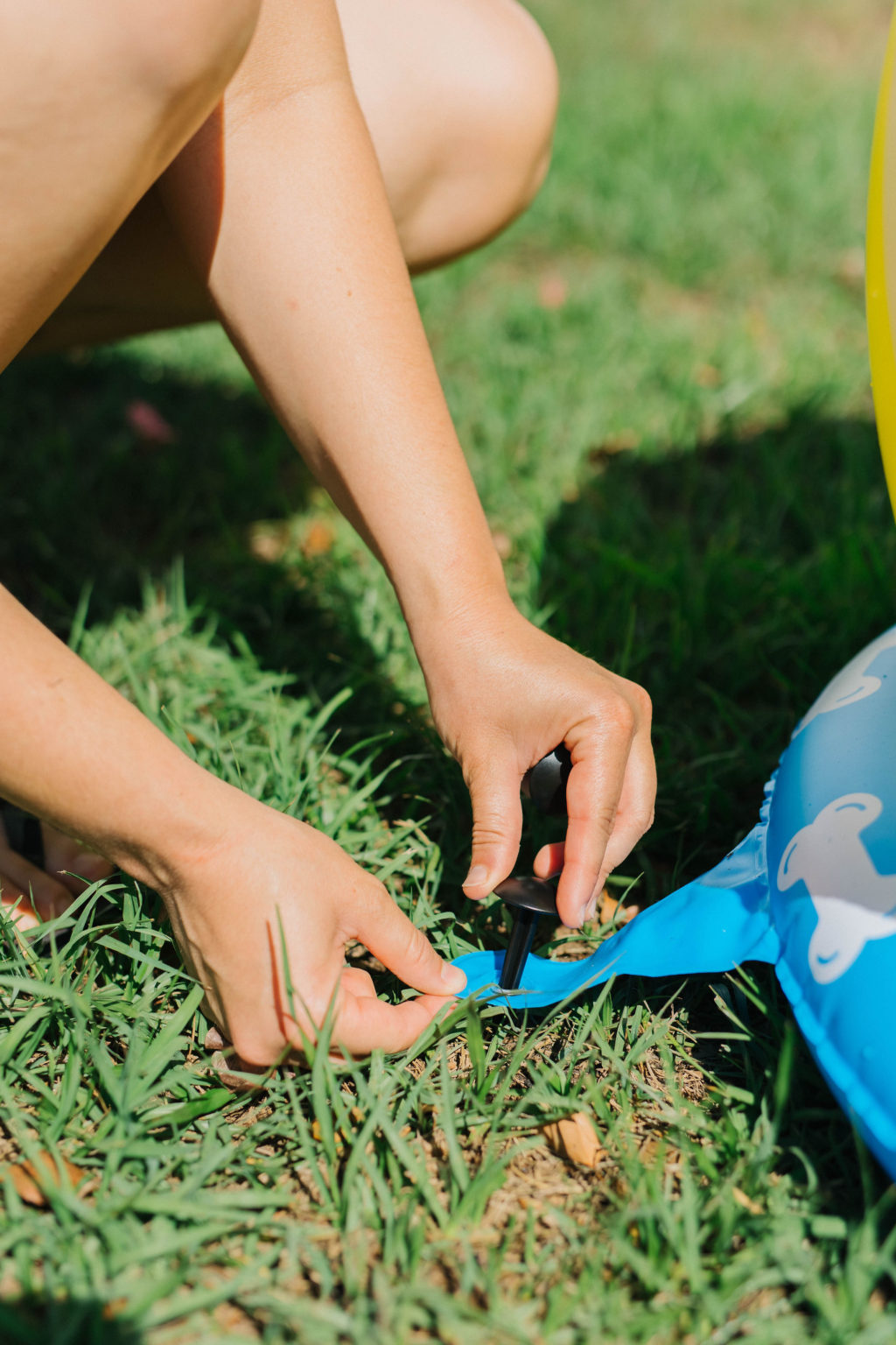 Summer Outdoor Dog Activities With BigMouth Pets