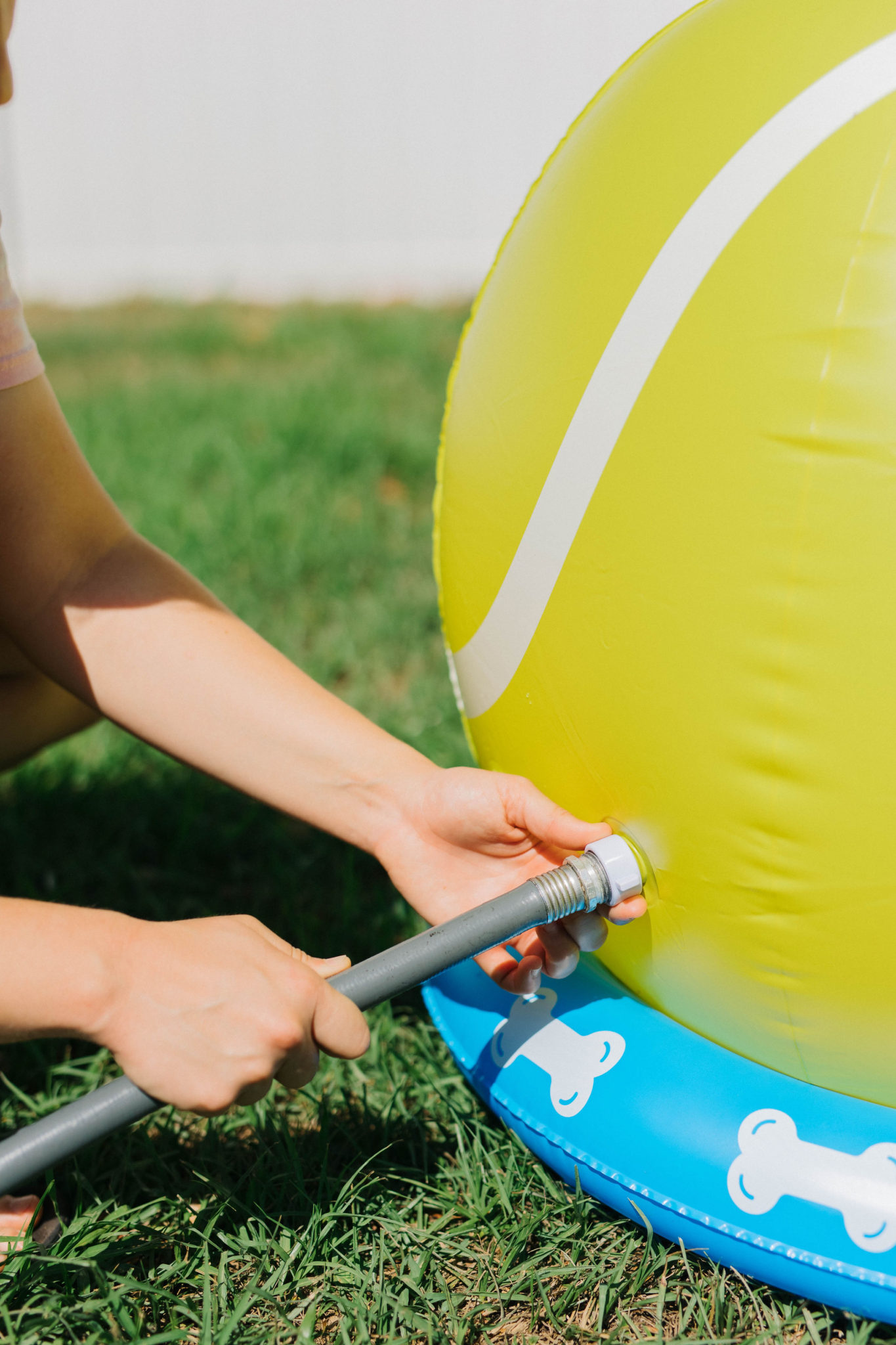 Summer Outdoor Dog Activities With BigMouth Pets