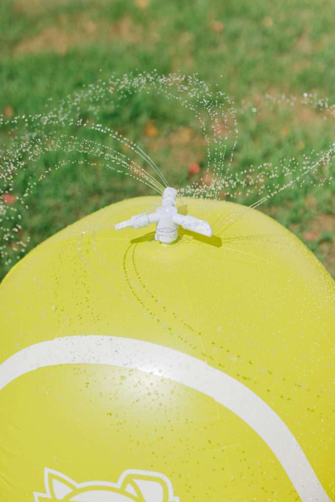 dog water sprinkler summer outdoor dog activities sparkles and sunshine blog