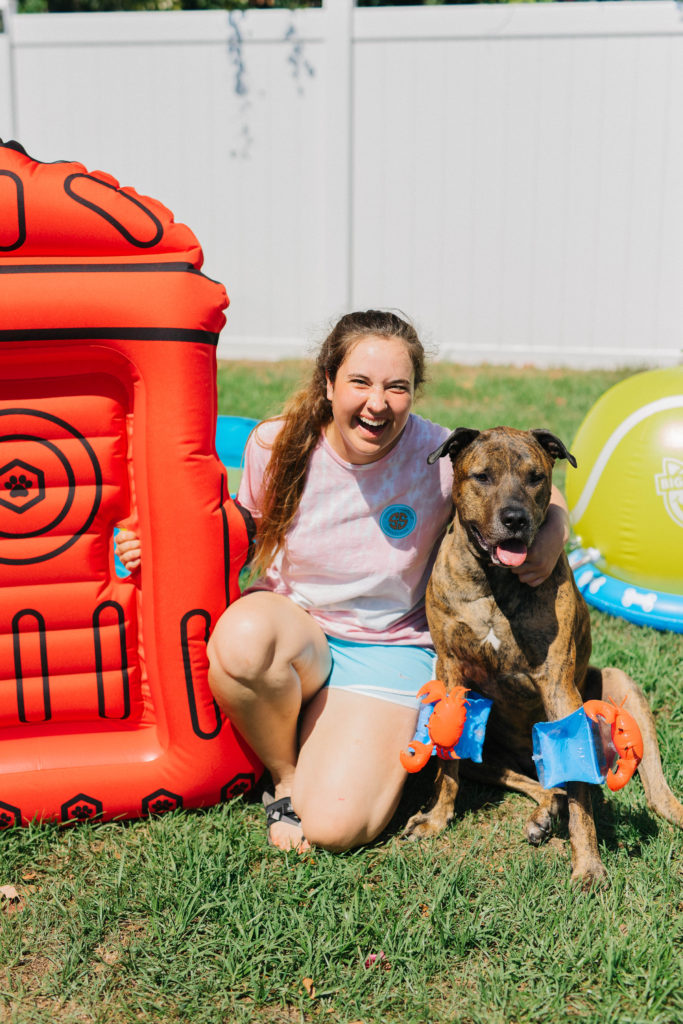 summer outdoor dog activities with bigmouth pets sparkles and sunshine blog