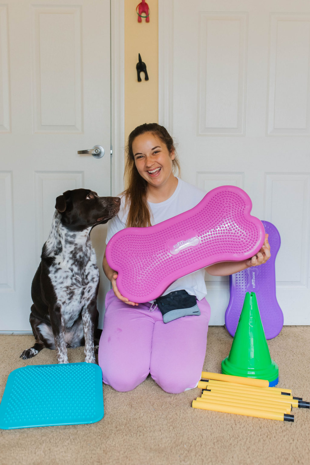 3 Easy Dog Lick Mat Ideas