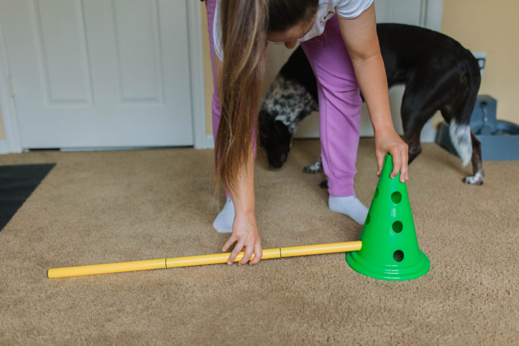 FitPaws agility kit for dog agility training at home sparkles and sunshine blog