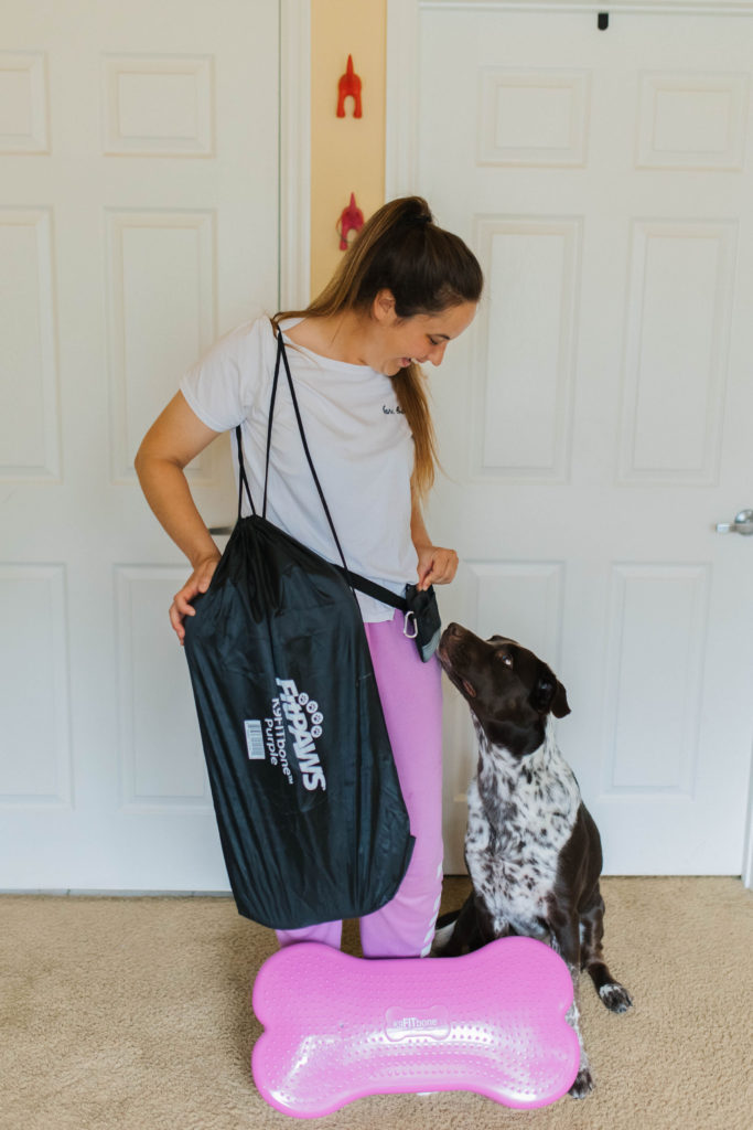FitPaws canine fitness equipment sparkles and sunshine blog