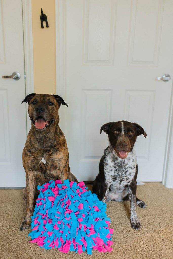 what is a snuffle mat for dogs sparkles and sunshine blog
