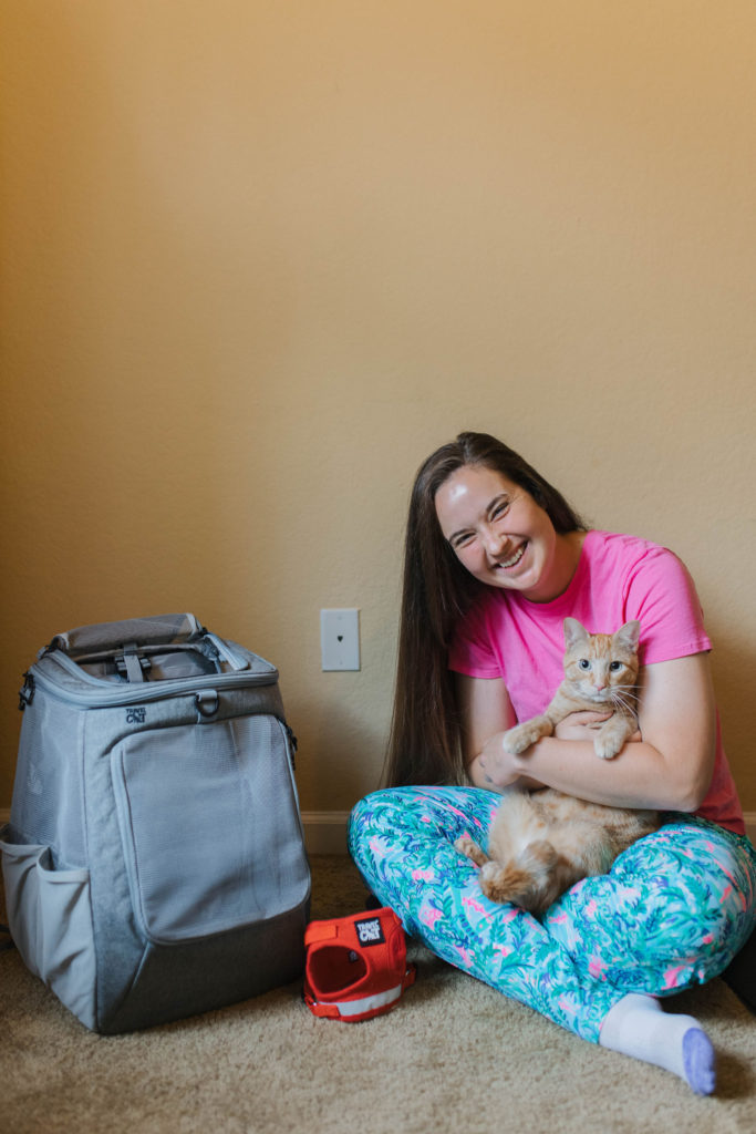 how to backpack train a cat sparkles and sunshine blog