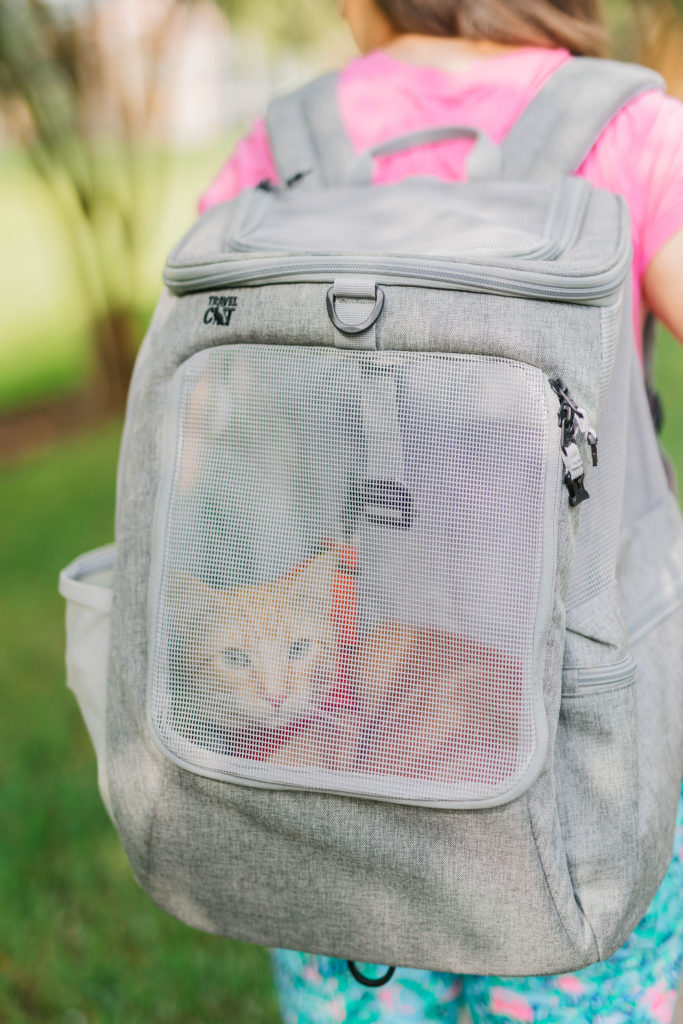 cat hiking backpack the navigator cat backpack from travel cat sparkles and sunshine blog