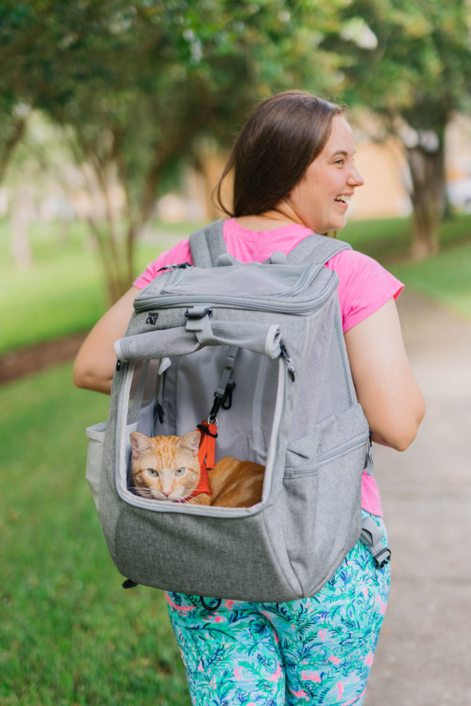 the navigator cat backpack carrier review sparkles and sunshine blog