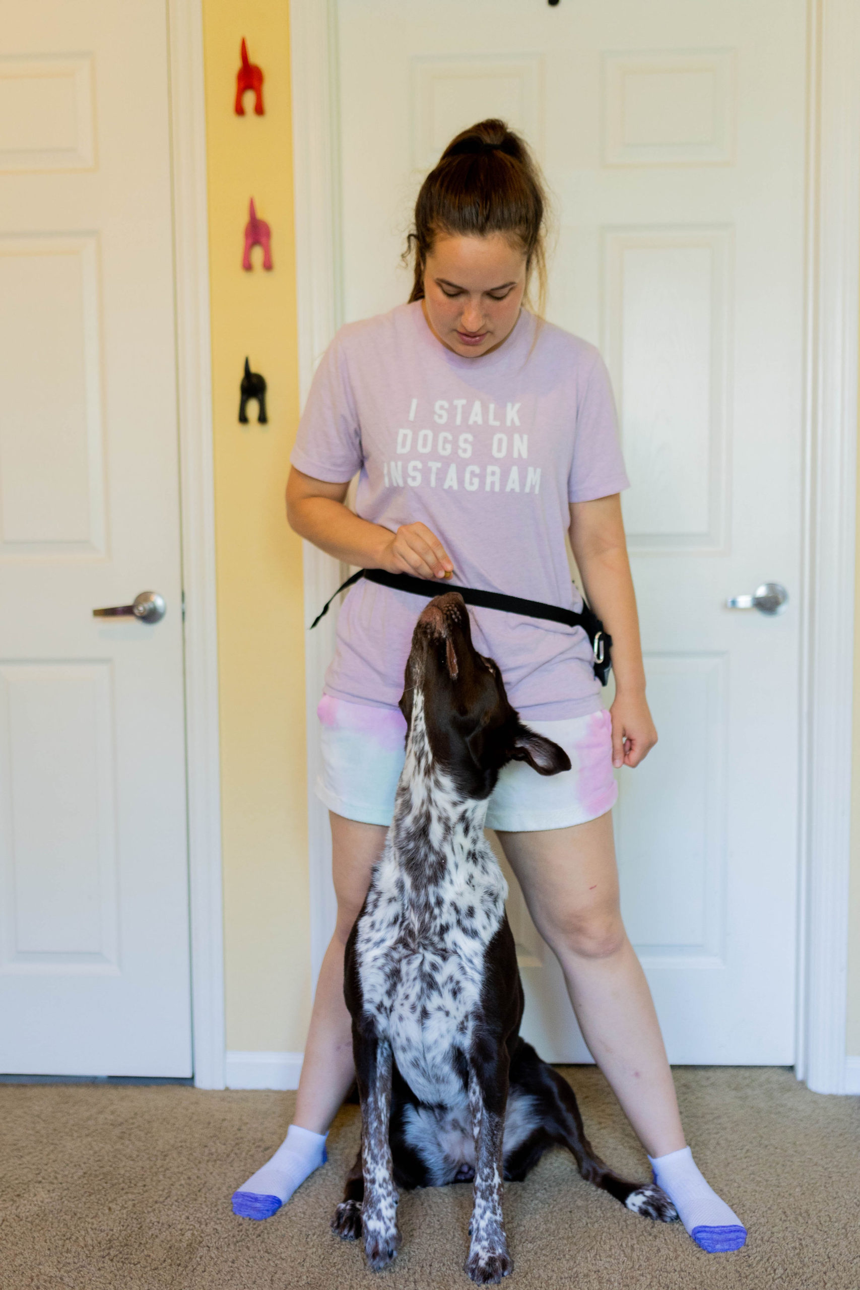3 Easy Stretches For Dogs