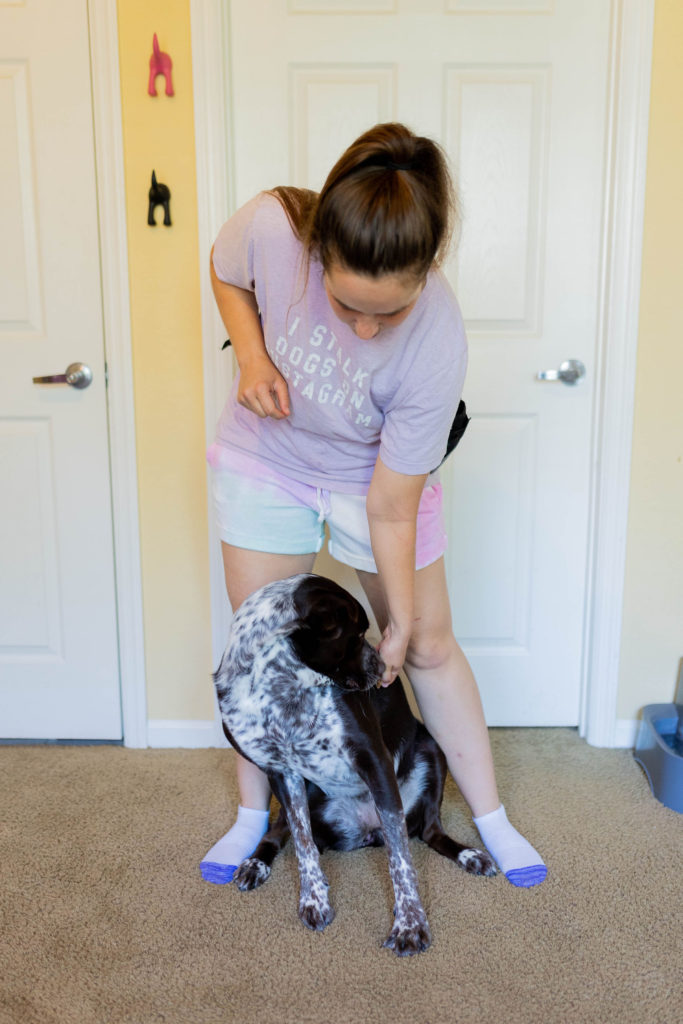 3 easy stretches for dogs sparkles and sunshine blog