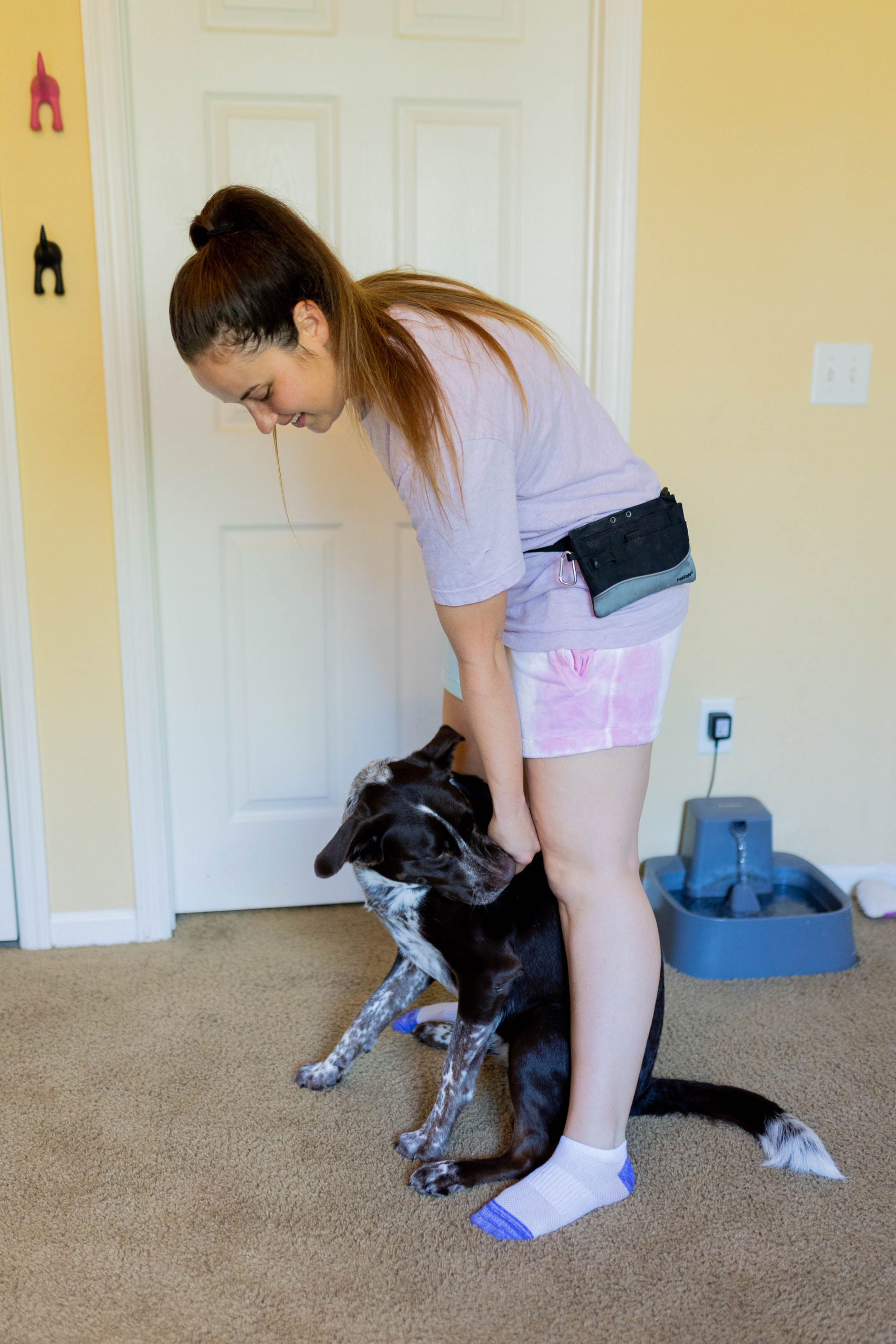 3 Easy Stretches For Dogs