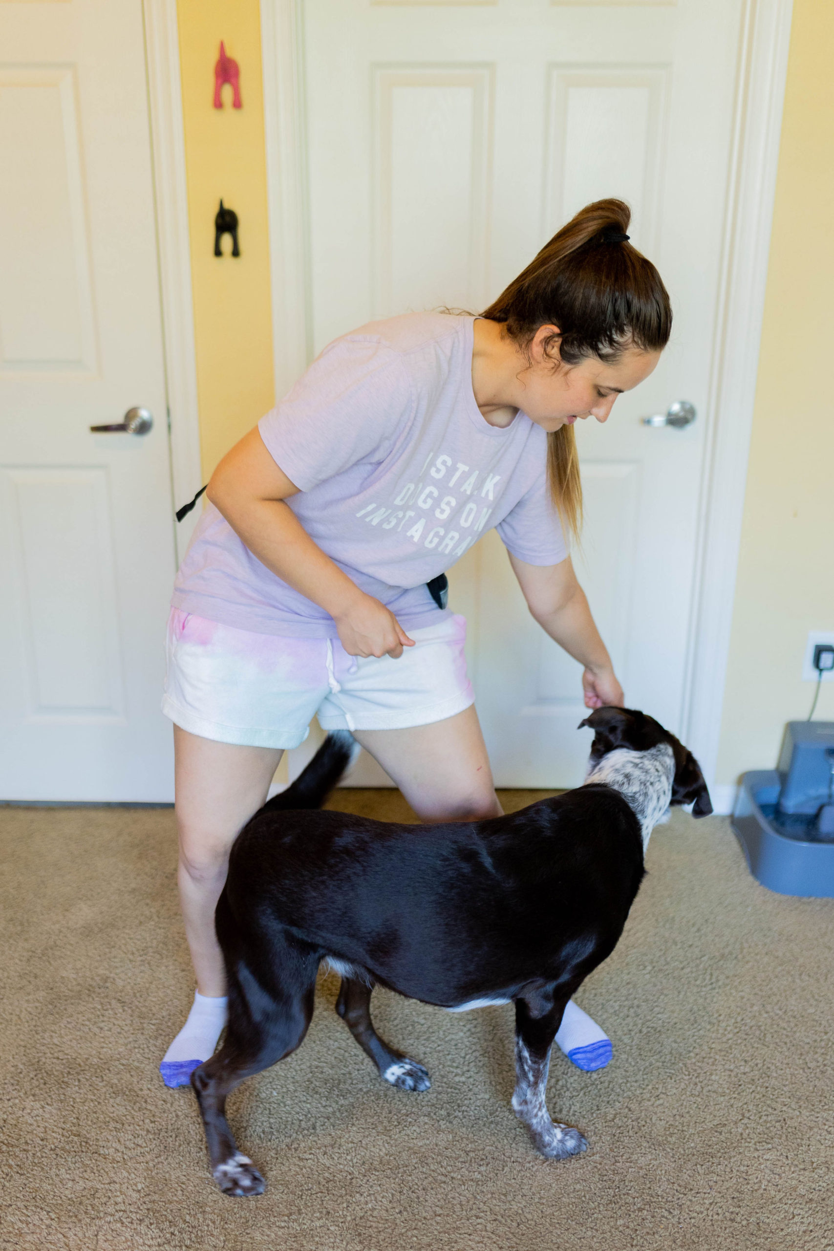 3 Easy Stretches For Dogs