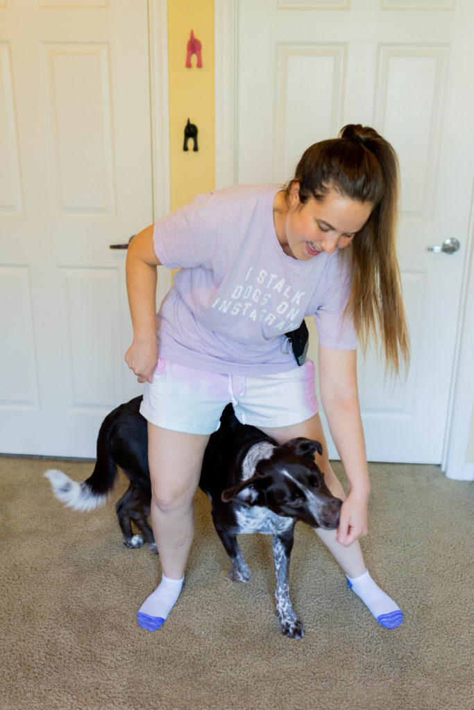 dog fitness exercise leg weaves dog stretch sparkles and sunshine blog