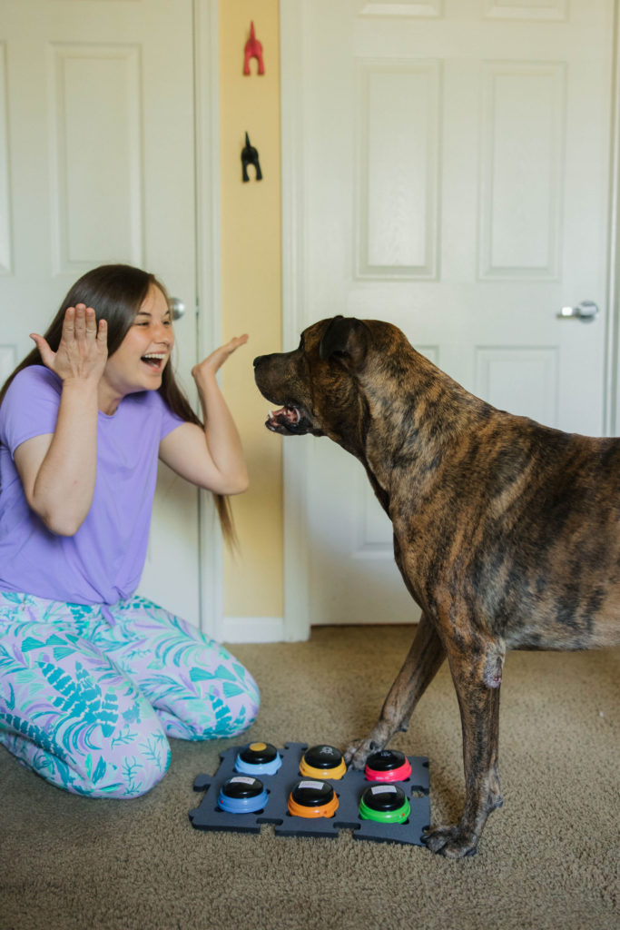 Best dog communication buttons hunger for words talking pet buttons sparkles and sunshine blog