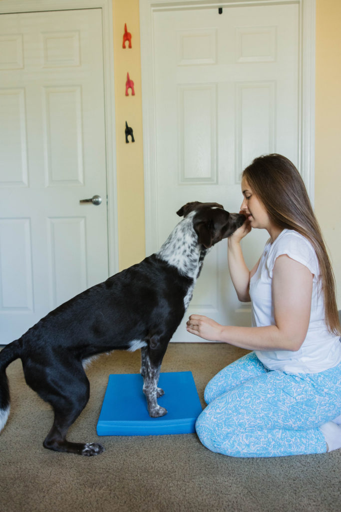 Dog fitness exercises with fitpaws balance pad sparkles and sunshine blog