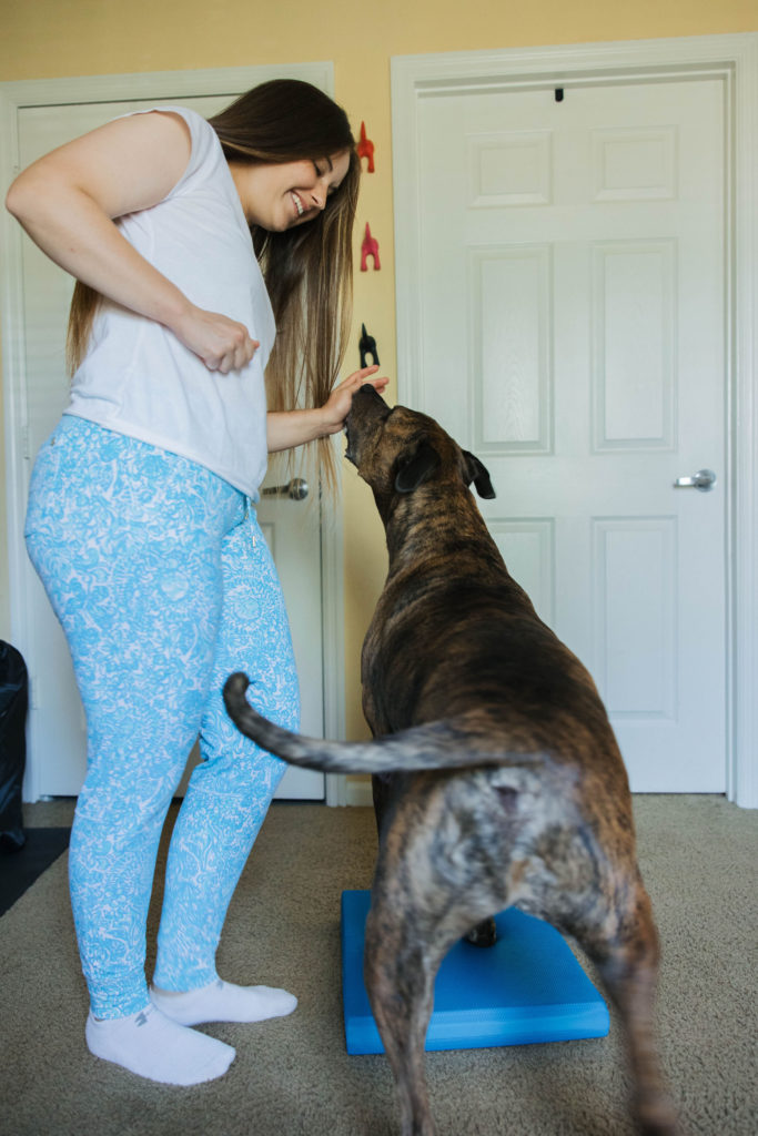 Fitpaws balance pad canine fitness exercise sparkles and sunshine blog