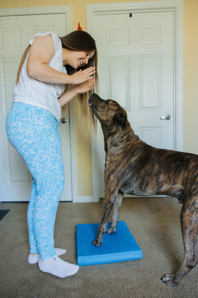 Fitpaws balance pad canine fitness exercise sparkles and sunshine blog