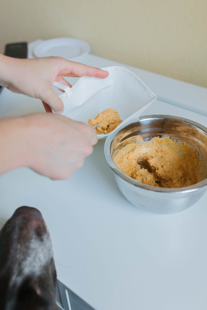 Pumpkin applesauce carrot oat flour dog treat recipe sparkles and sunshine blog