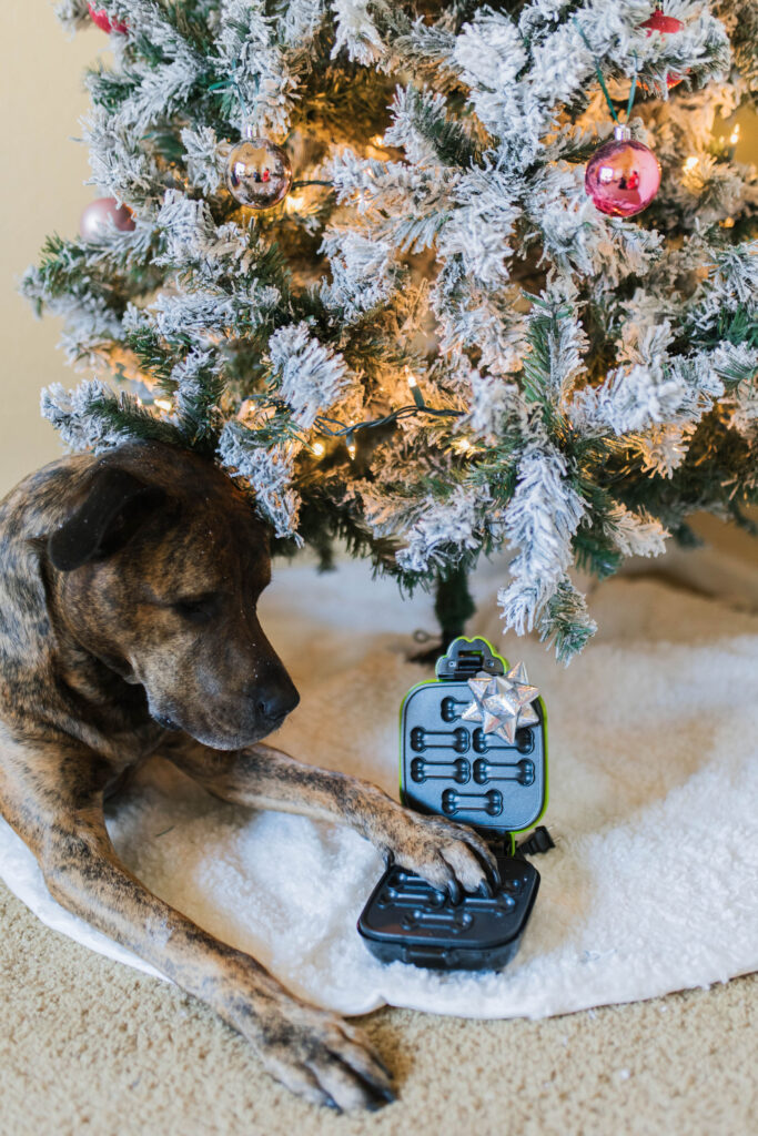 Cool dog gifts for Christmas CONAIRPROPET GoodBone Dog Treat Maker Sparkles and Sunshine Blog