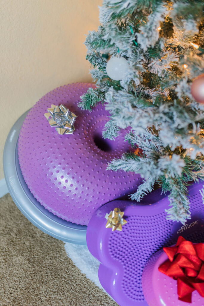 Best dog gifts for Christmas FitPaws K9 Fitness K9 FitBone and FitPaws Trax Donut Sparkles and Sunshine Blog
