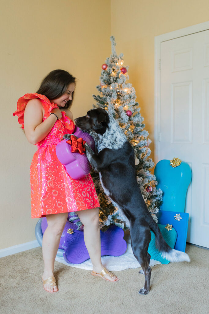 Best dog gifts for Christmas FitPaws K9 Fitness dog conditioning equipment sparkles and sunshine blog